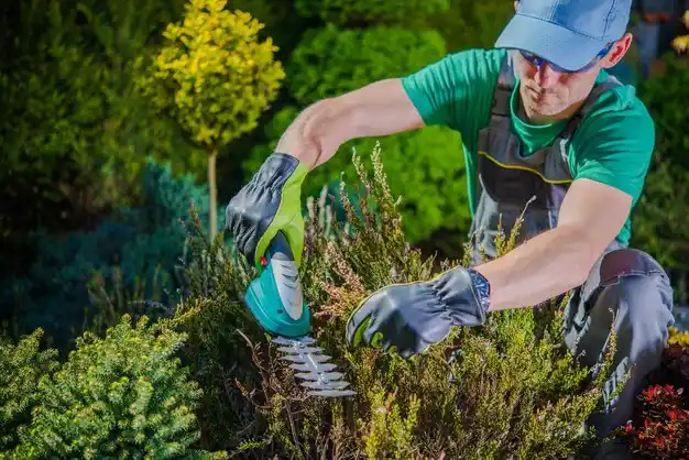 landscaping services Columbia
